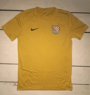 تیشرت ورزشی نایکی استوک NIKE